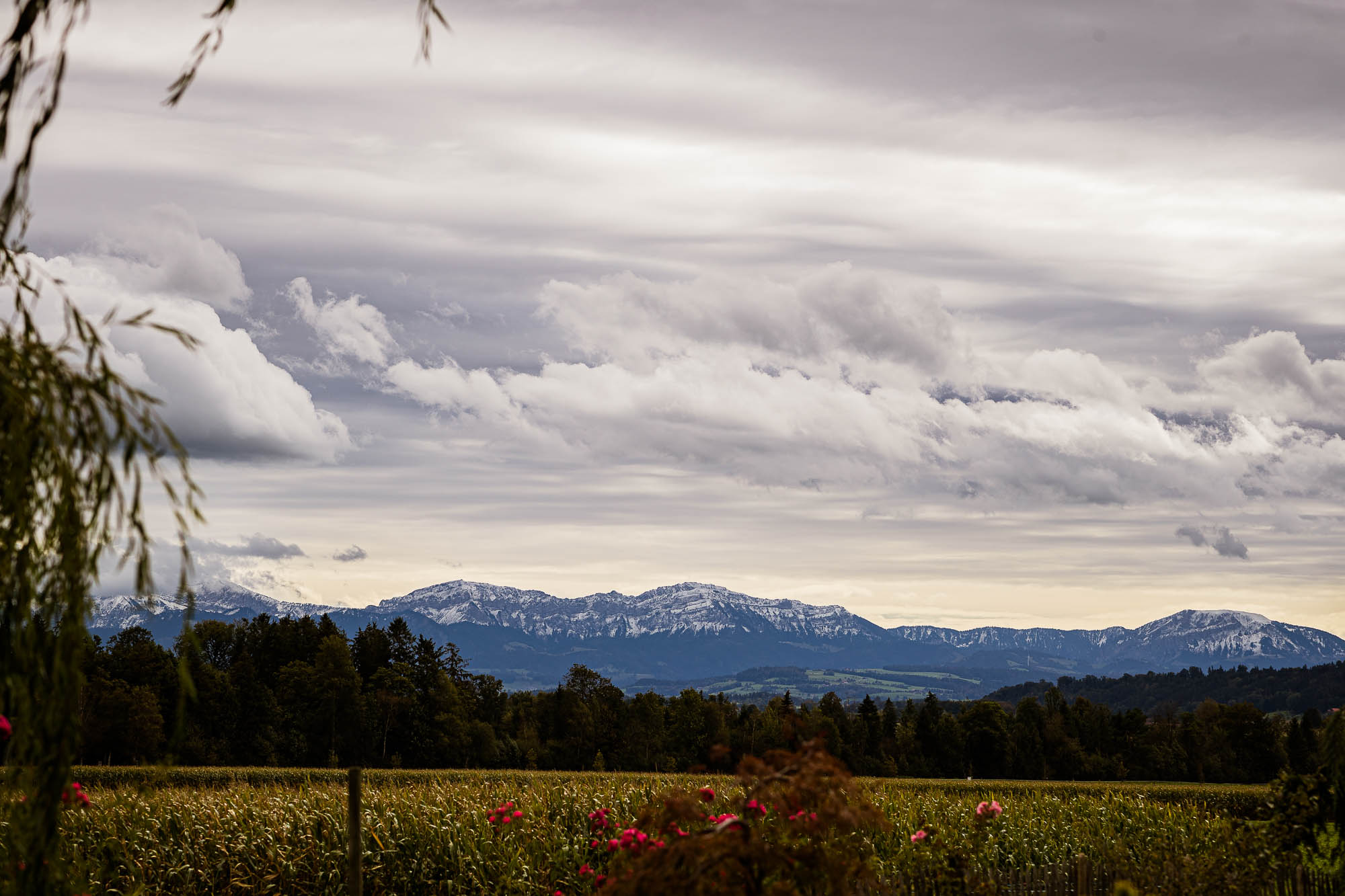 Export x3 1DX28092 Hochzeit 2020 Claudia & Thomas
